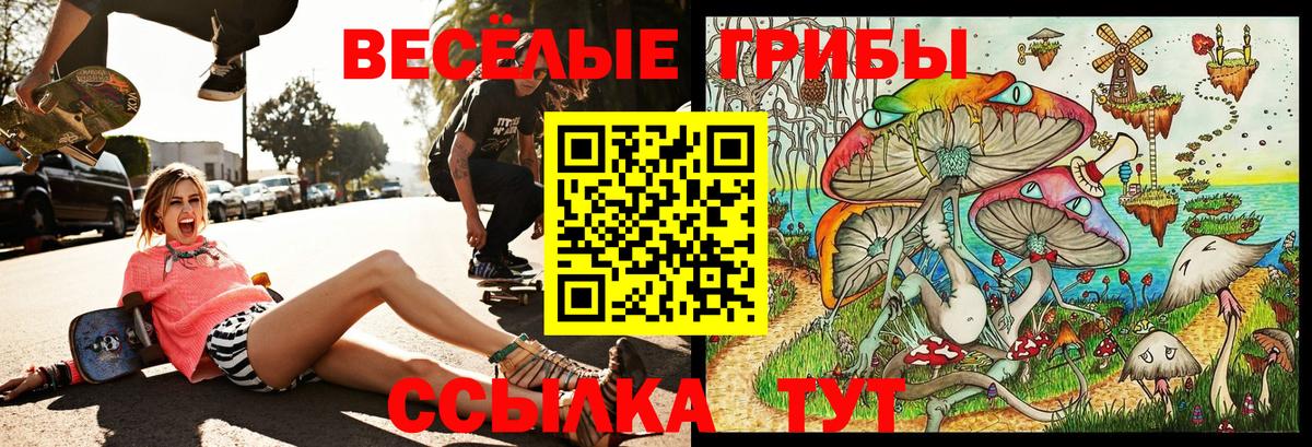 Псилоцибиновые грибы мухоморы Санкт-Петербург