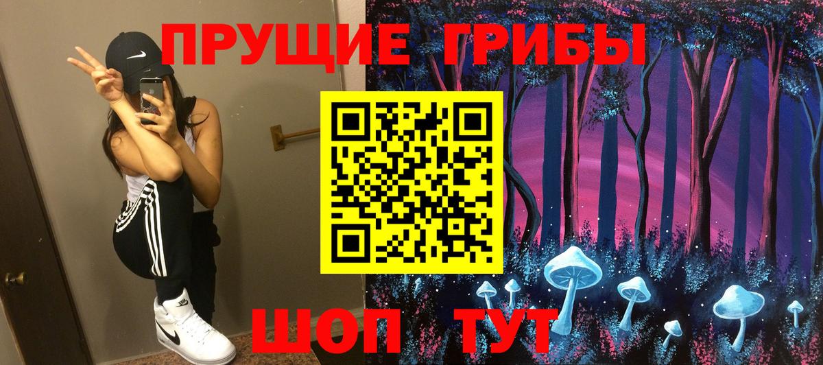 Галлюциногенные грибы Cubensis  Вход с VPN  Галлюциногенные грибы прущие грибы  Санкт-Петербург 